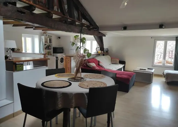 Appartement De Charme Coeur Historique