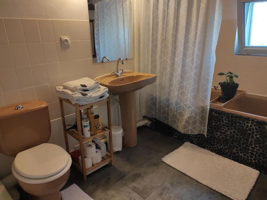 De Charme Coeur Historique Apartment *